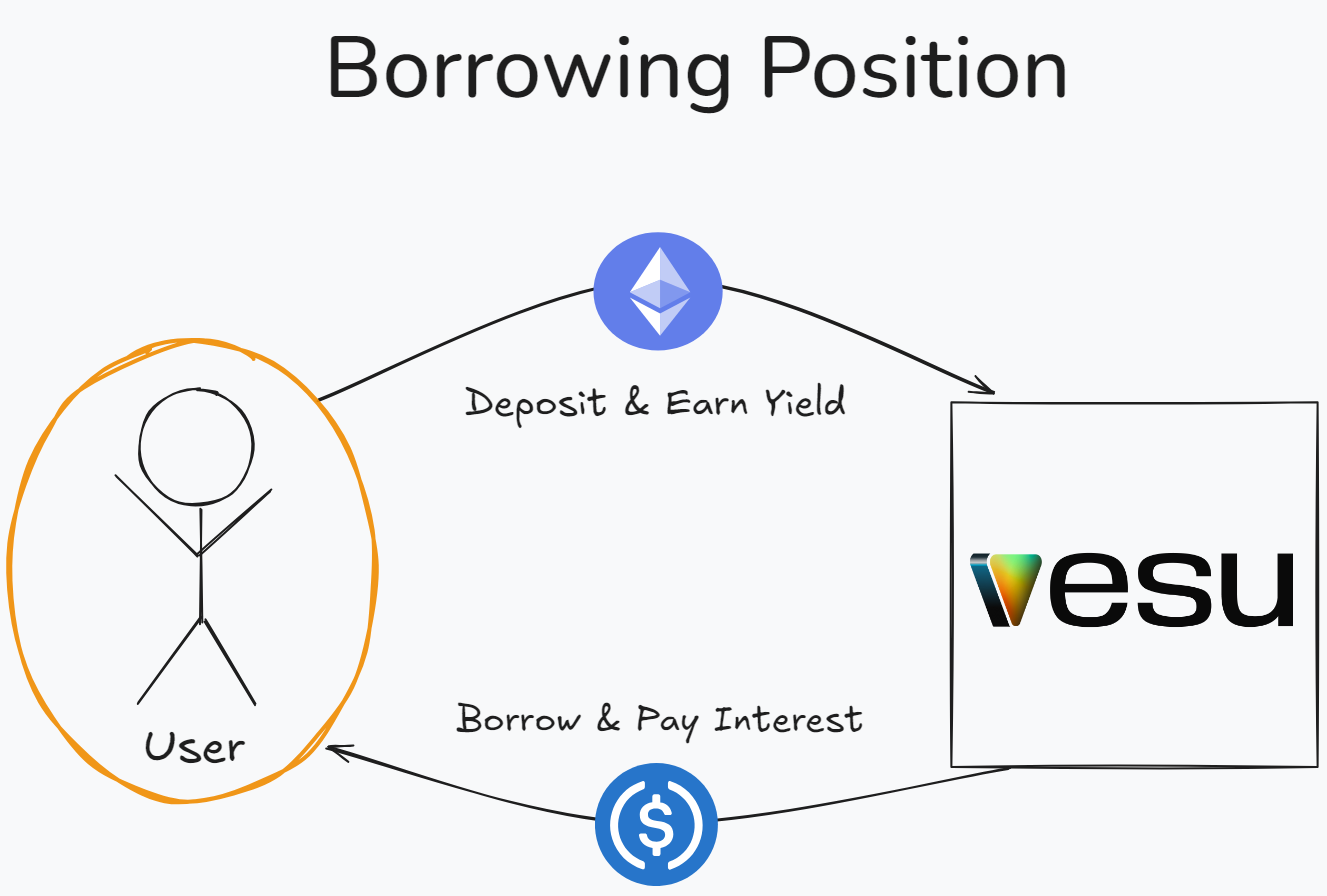 Borrowing Position