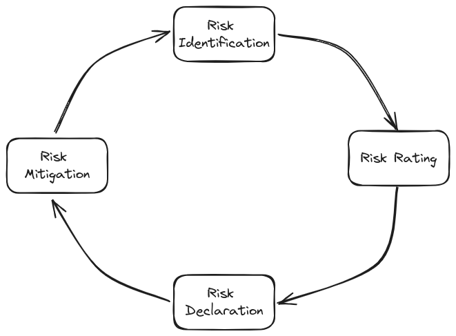 Vesu Risk Framework